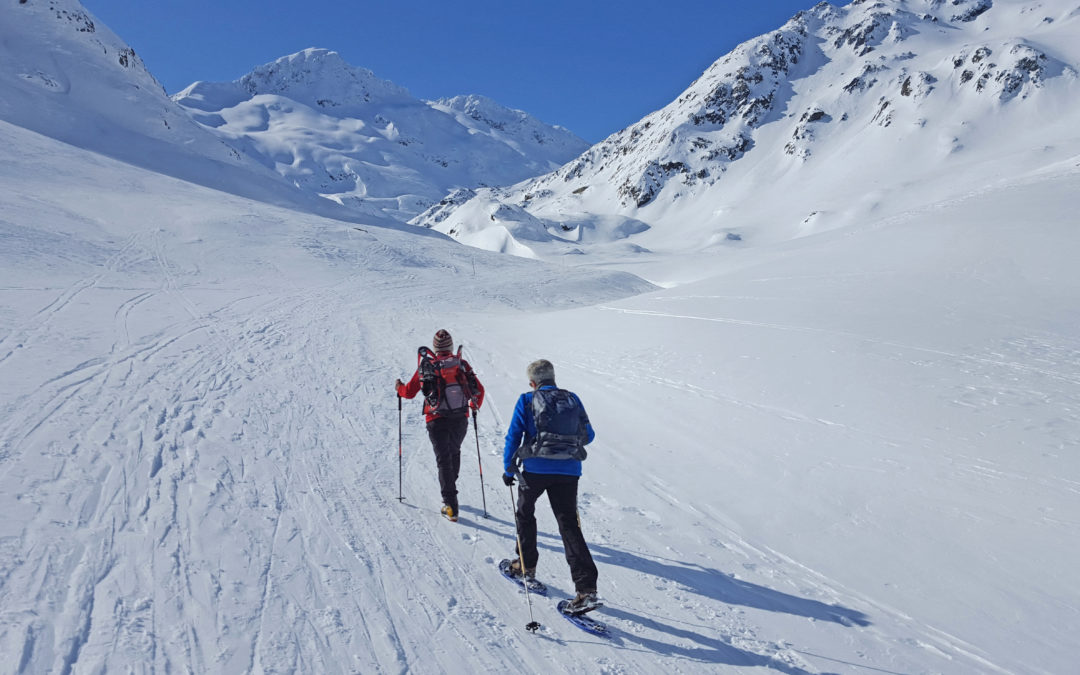 Location de raquettes